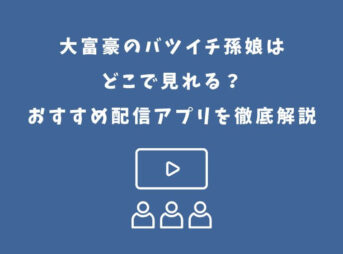 大富豪のバツイチ孫娘 どこで見れる