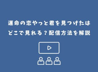 運命の恋やっと君を見つけた どこで見れる