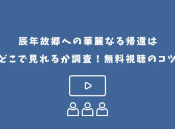 辰年故郷への華麗なる帰還 どこで見れる