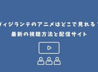 ヴィジランテ アニメ どこで見れる