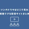 リエゾン ドラマ どこで見れる