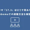 17.3 ドラマ どこで見れる