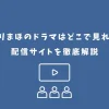チェリまほ ドラマ どこで見れる