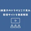 篠田麻里子 ドラマ どこで見れる